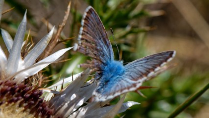 Autour de Séez 15 août 2019